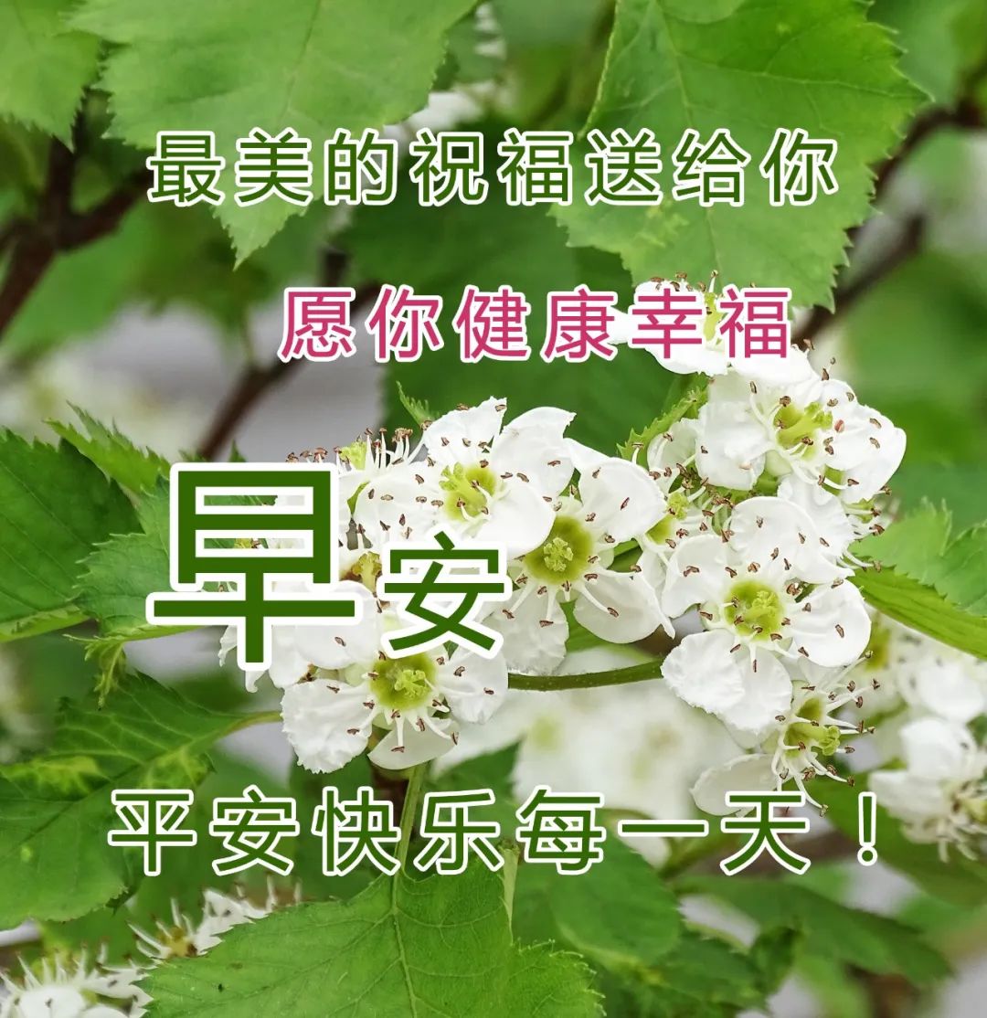 原创每天的问候语图片大全精美图片最新早上好动态表情图片