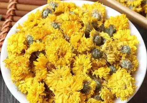 温贤仁一杯好茶怀菊花功效与作用:自然之宝,健康之源_咨询_成分_效果