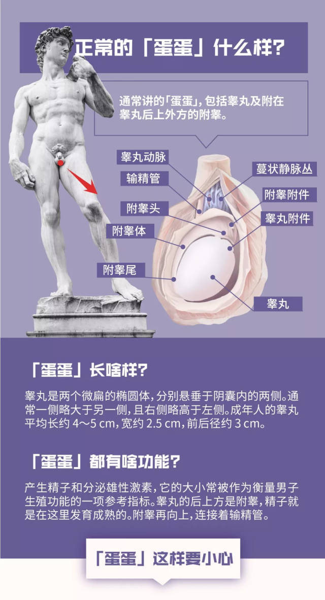 奇!武汉男子腹疼摘掉10cm肿瘤,竟是失踪35年的"蛋蛋"