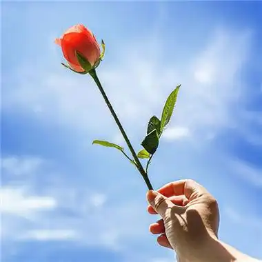 2021微信头像唯美清新图片意境 想和你一起度过的夜晚