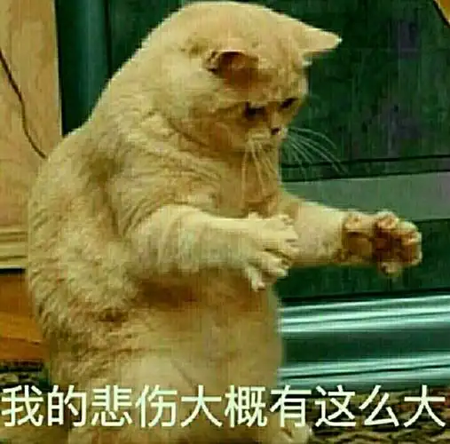 悲伤那么大斗图表情包-表情kidikh-爱斗图