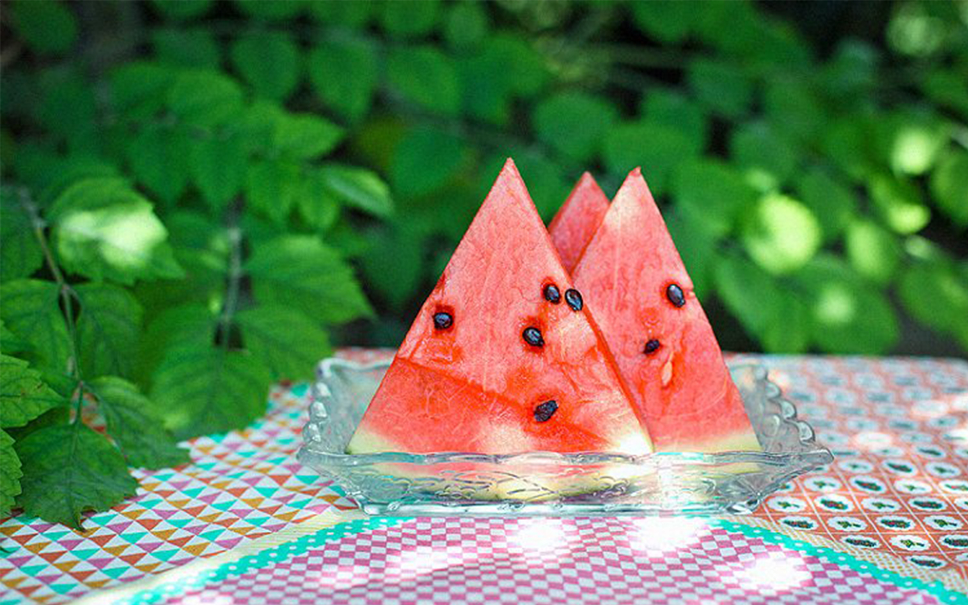 唯美夏日时光摄影图片桌面壁纸