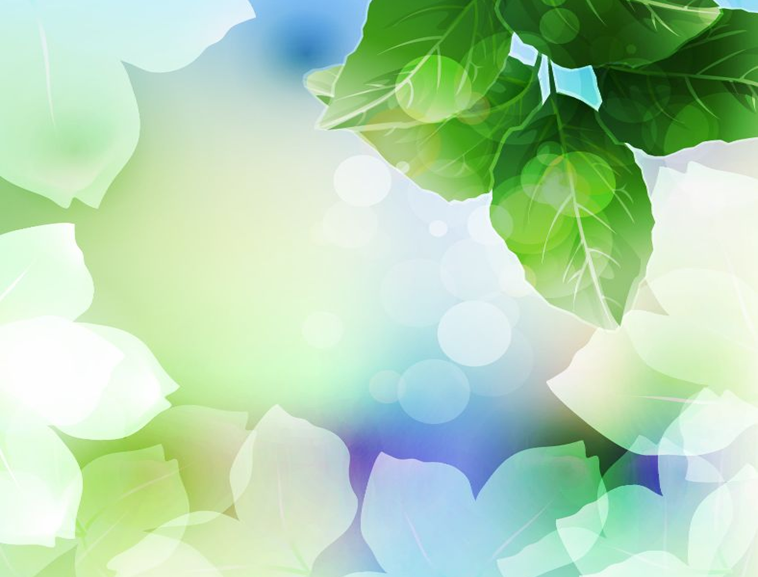 ppt清新背景图片全模板免费下载_55676- wps在线模板