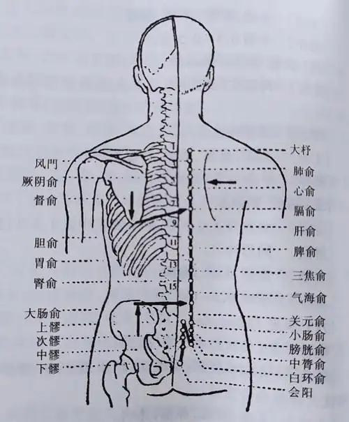 倪师针灸笔记膀胱经