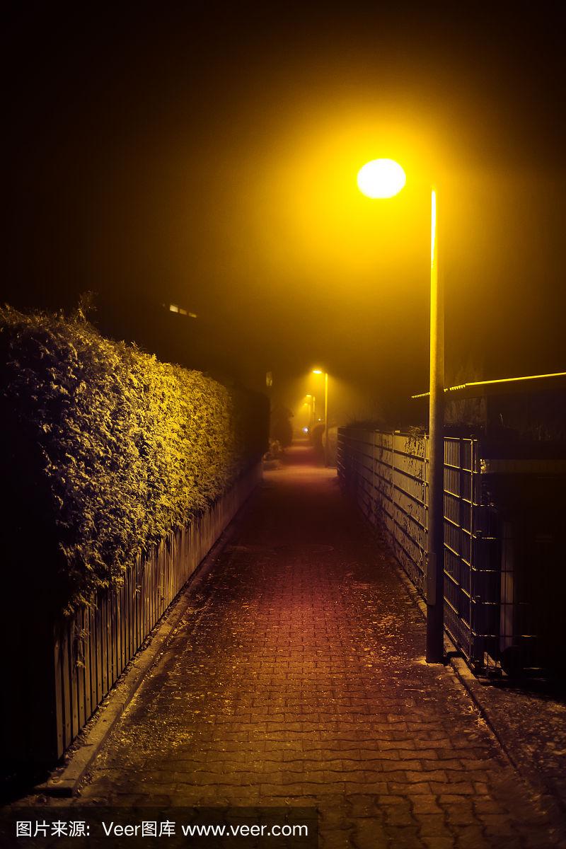 浪漫的雾夜漫步在城市公园的路灯下