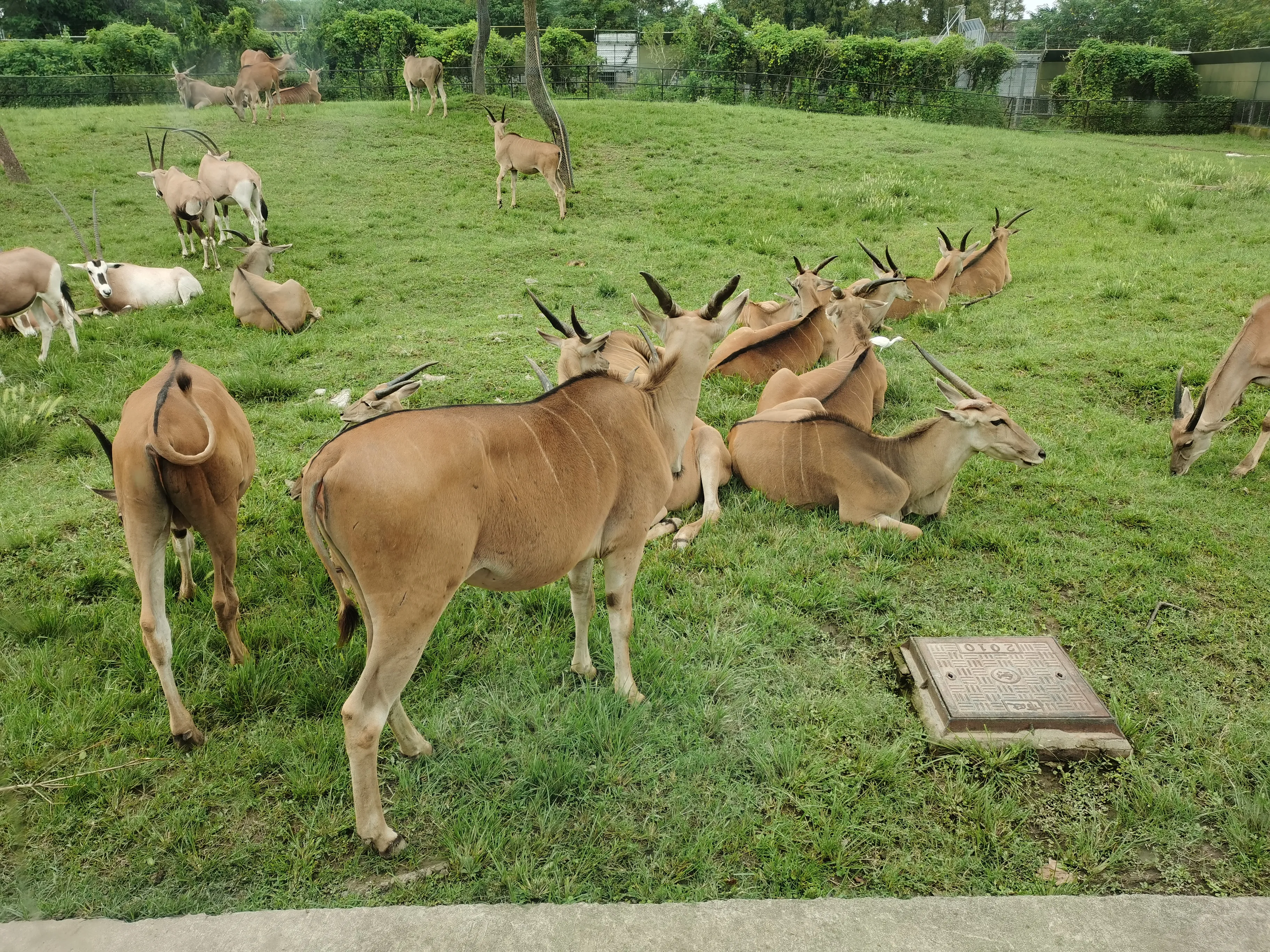 上海野生动物园