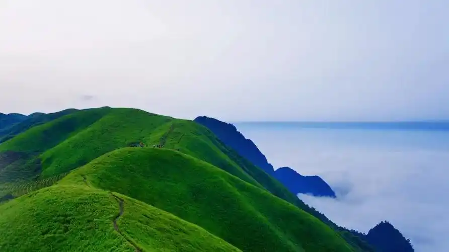武功山发云界,十万亩高山草甸精华所在!