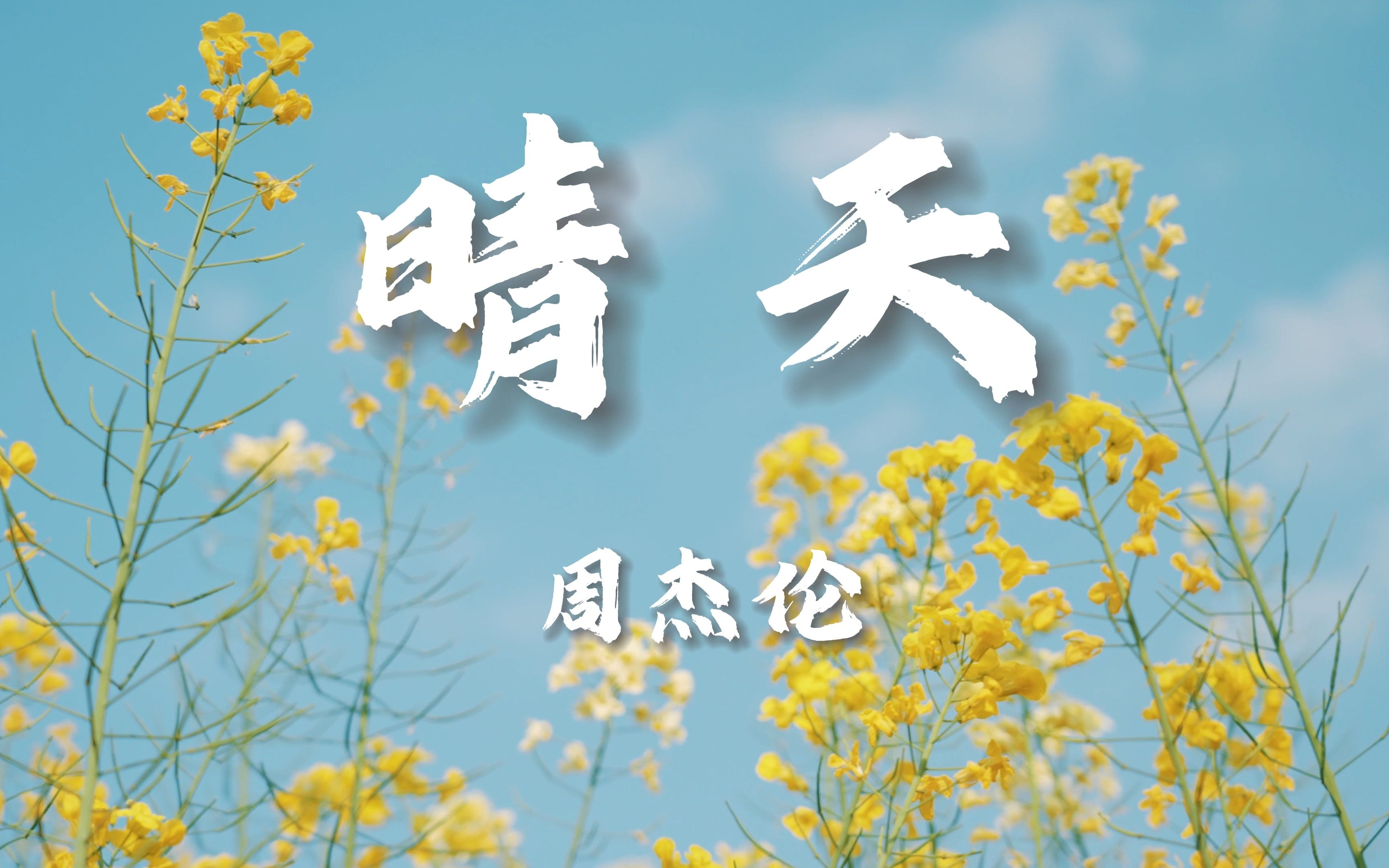 【从前从前有个人爱你很久】周杰伦-晴天mv