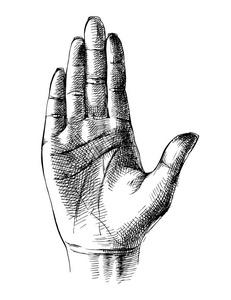 素描的手掌手照片