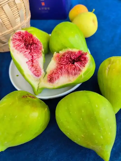 我的大理慢生活  #有机蔬菜  #无花果  #隐居又是无花果熟的季节第