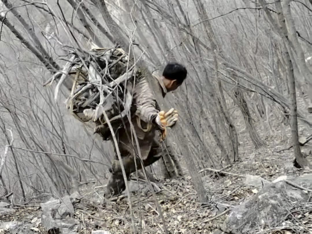 降龙木也叫六道木,它的木质坚韧,纹理形似莲花,带有淡淡的咖啡清香味