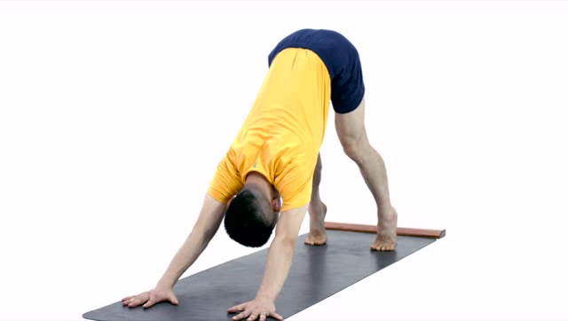 下犬式(adho mukha svanasana)