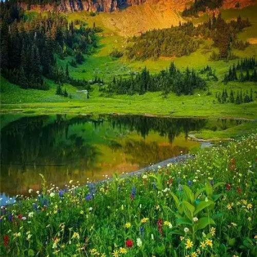 美美的视觉享受美景微信头像适合中老年人的头像