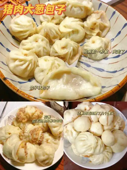 这个配方做了三盘包子92大葱猪肉包子做法:16615500g面粉,5g
