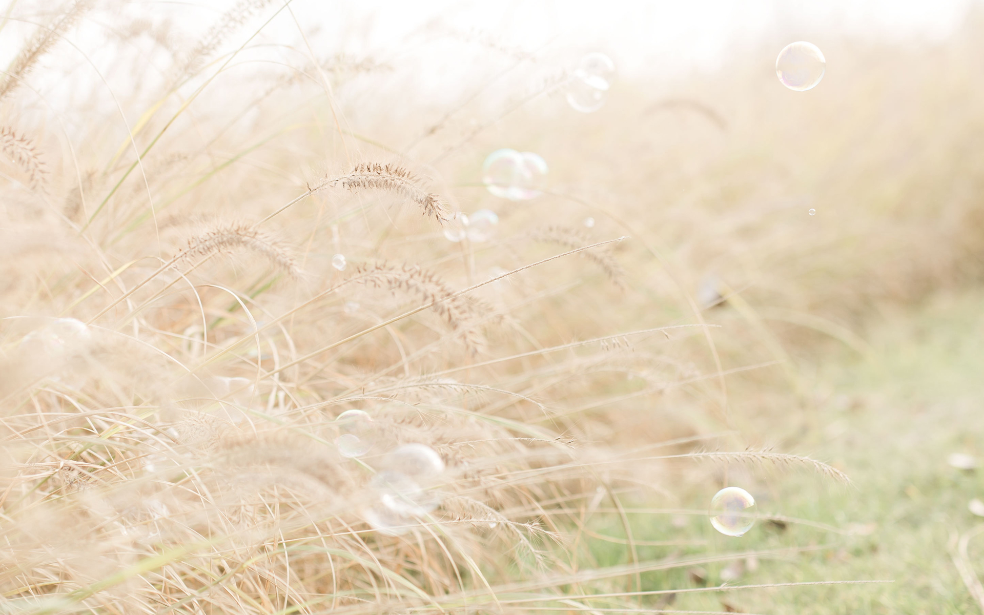 一组唯美小清新风景图片,希望大家喜欢,更多创意风格摄影壁纸尽在美桌