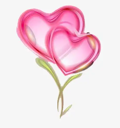 爱心,花朵,粉色,情人节