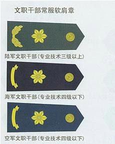 军网:军人明星不应自称将军 应有正确荣誉观 文职干部不授军衔,何来"