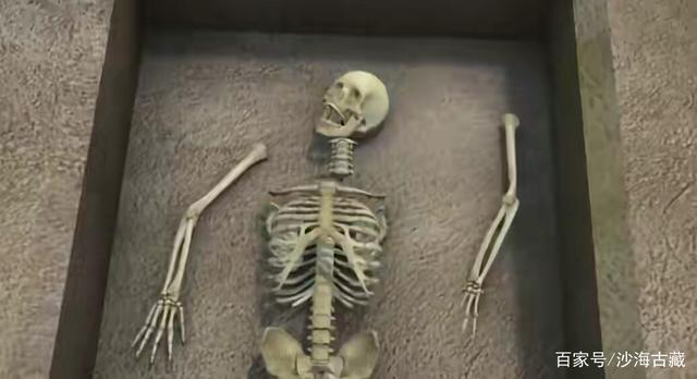1976年,陕西一墓葬出土一枚完整头骨,复原图竟可推测秦始皇容貌