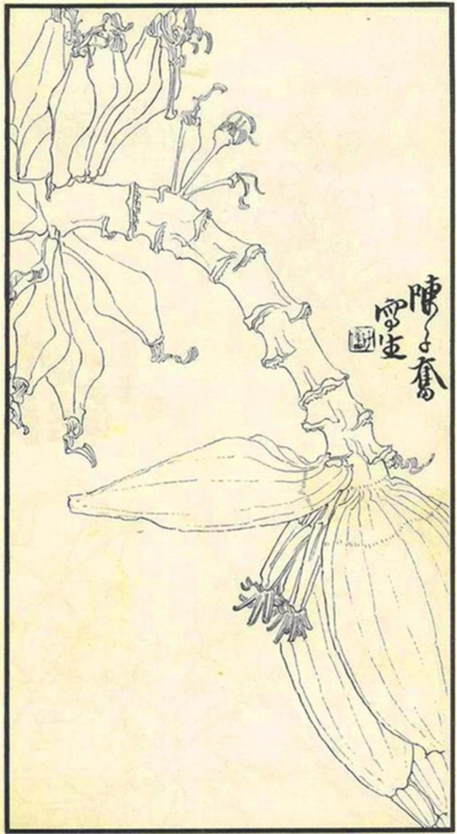 白描大师陈子奋