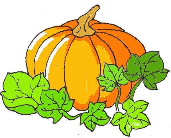 南瓜简笔画绿色