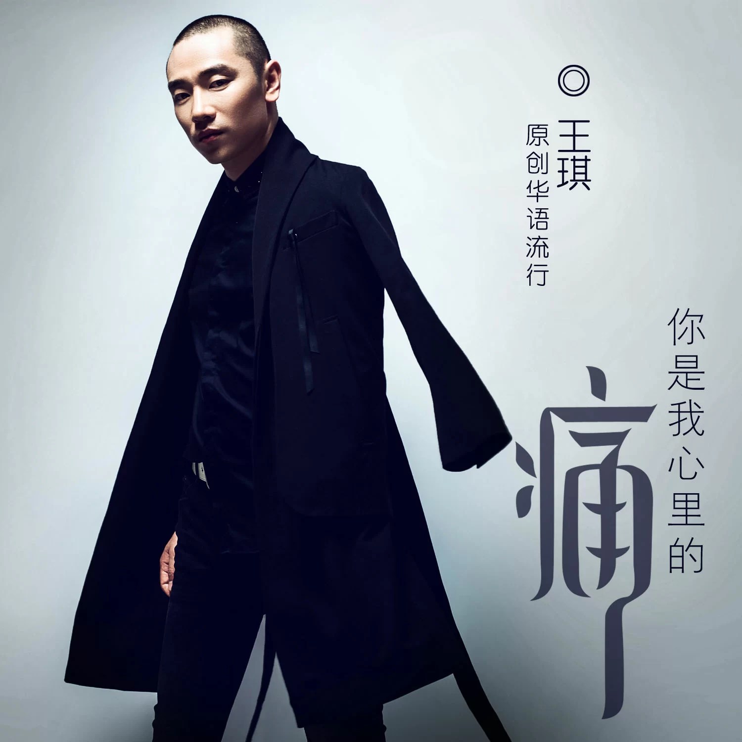 王琪 - 你是我心里的痛 (dj版)专辑:你是我心里的痛歌手:王琪你是我