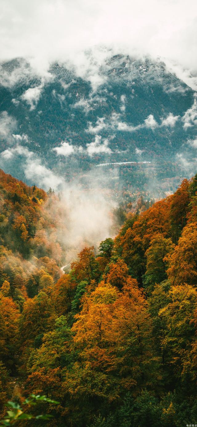 多彩壁纸640期|秋天风景高清壁纸 愿看风景的你都有美好心情
