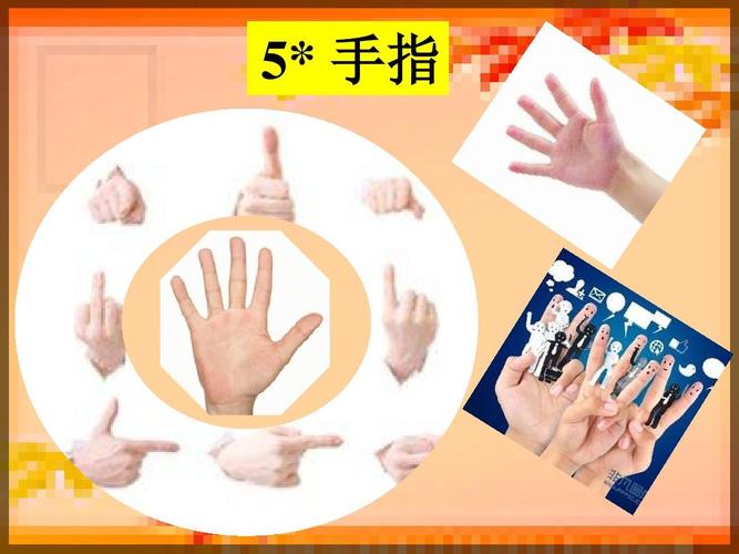 5,《手指》课件ppt