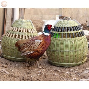 鸡媒上山笼子竹鸡笼家用全套手工竹编罩布家养母鸡竹笼媒笼鹧鸪