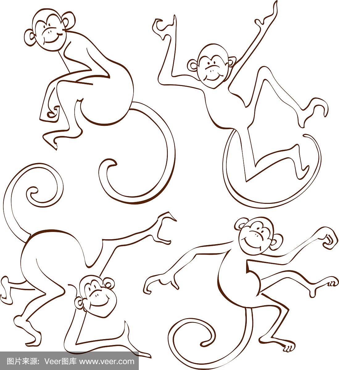 棕色猴子的轮廓孤立在白色上