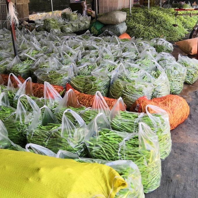 精品蔬菜大量收购代收豆角辣椒西红柿