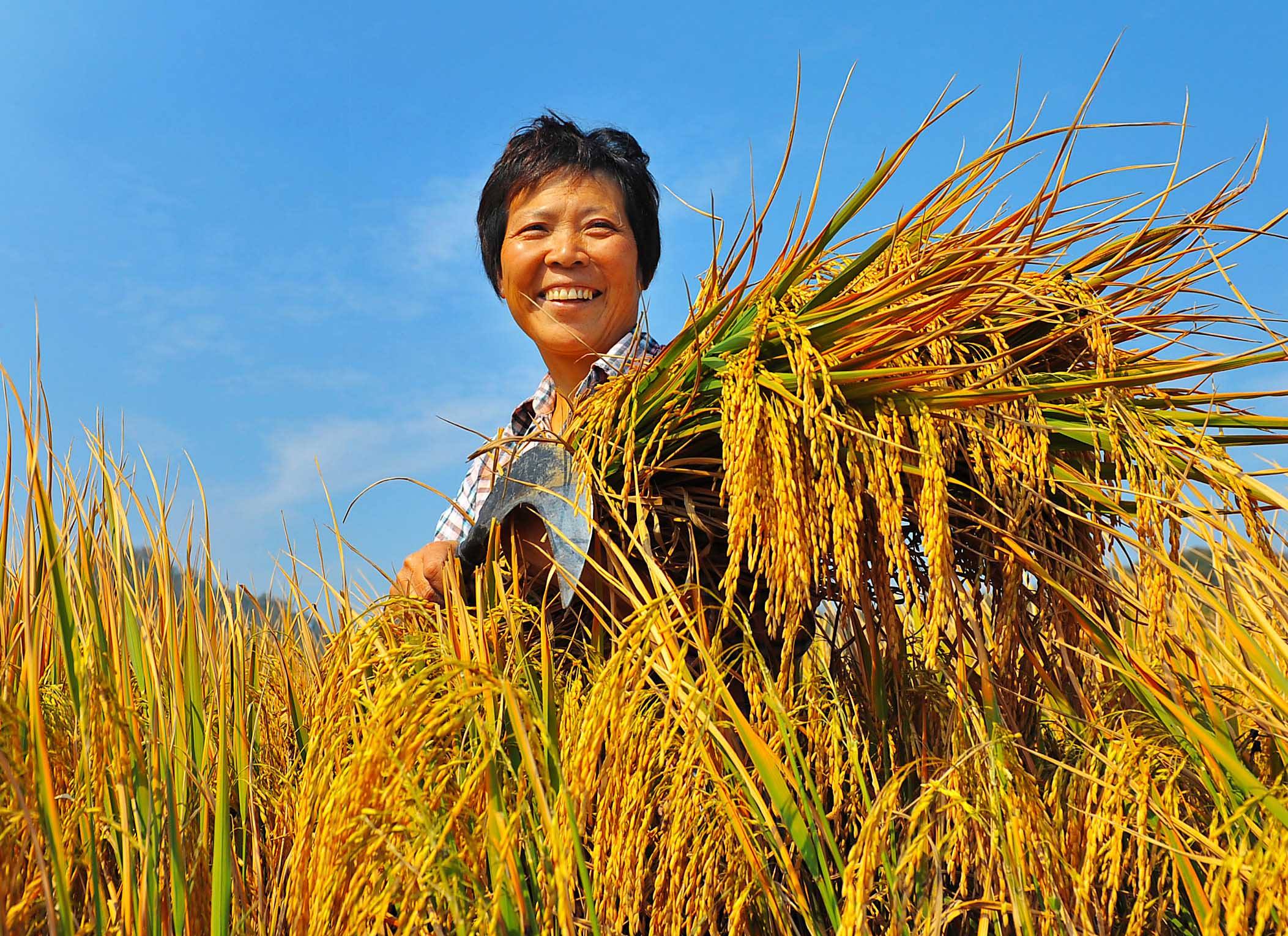 如何实现在2023年达到"千亿斤"粮食产量的目标