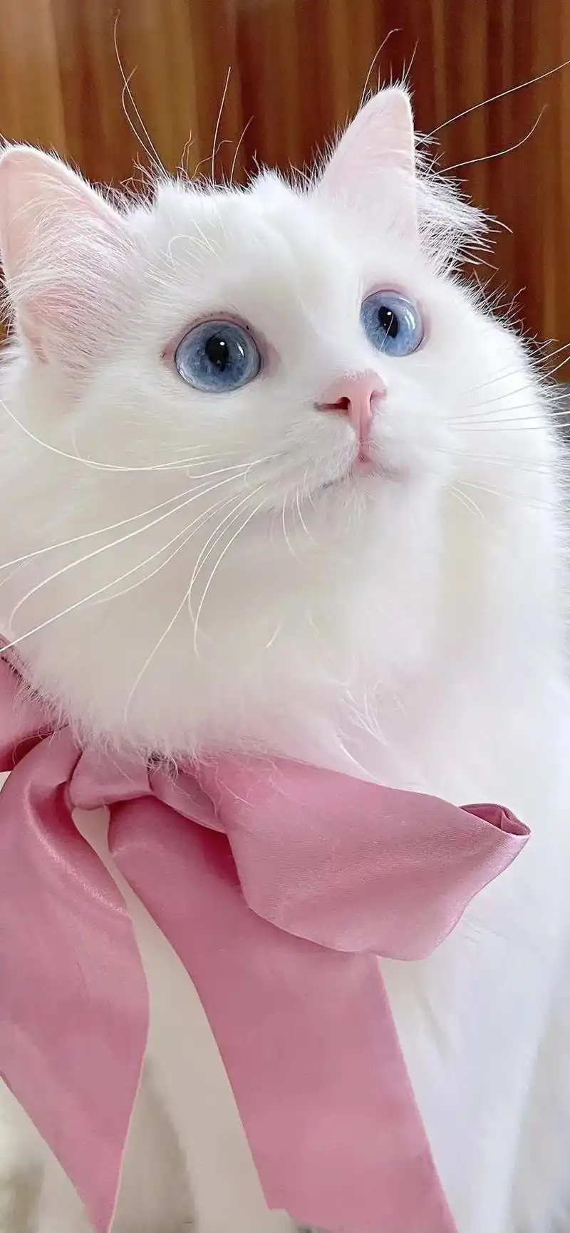 个性高清壁纸推荐.#全屏壁纸 #手机高清壁纸  - 抖音