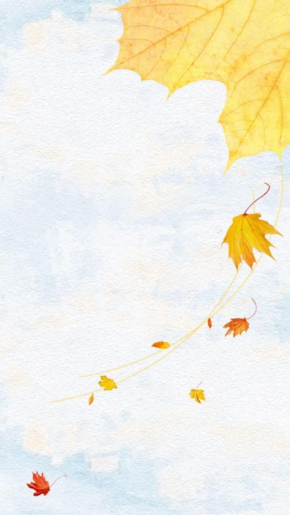 壁纸丨秋天色系壁纸!