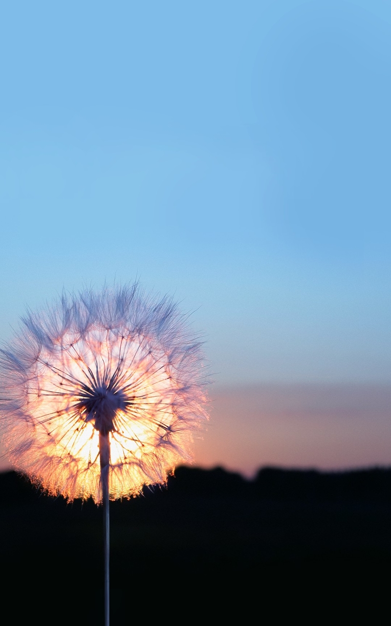 简约唯美好看的风景高清大图手机壁纸