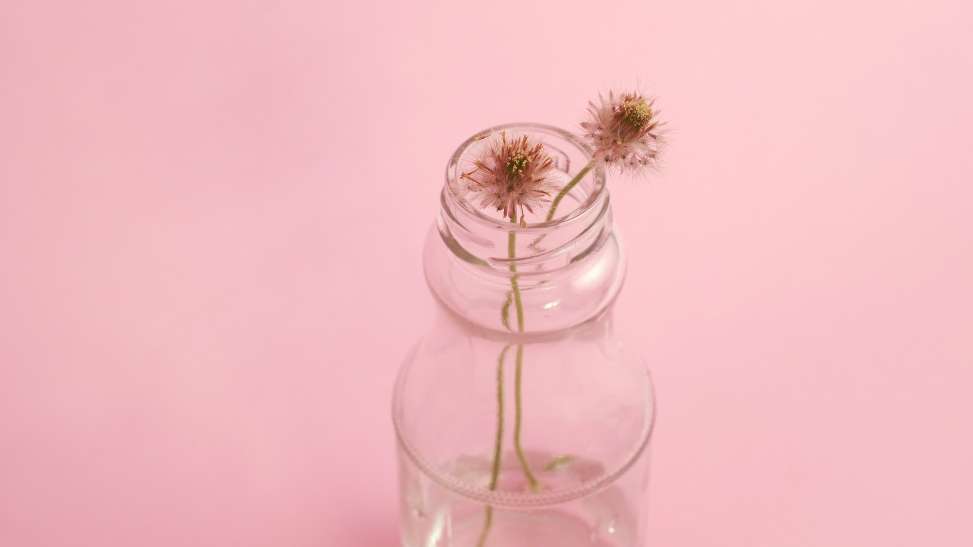 少女心壁纸【84】