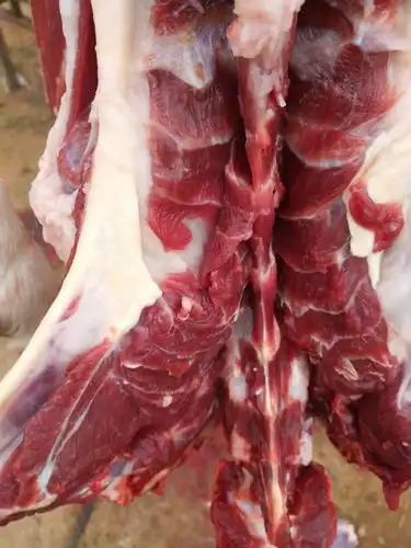 这家羊肉馆只做山羊肉