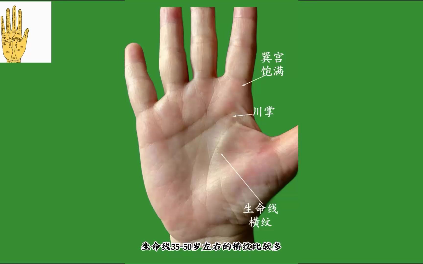 富贵有福气的女人,手相都这个特点