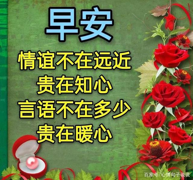 8张非常创意好看的友谊早上好问候图片带字温馨