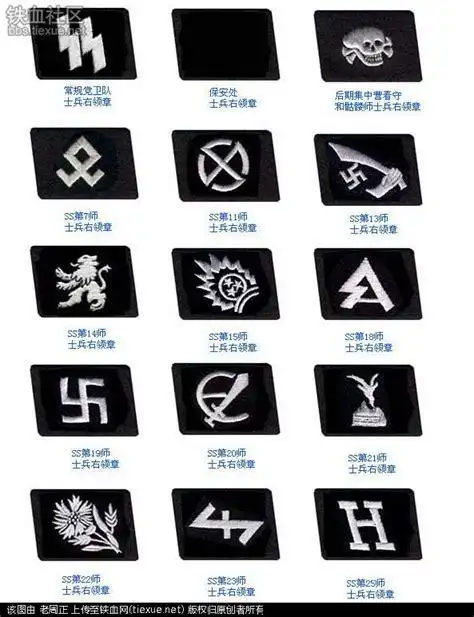 看完这几张图片你就能完全辨别德国国防军与党卫军的军衔了