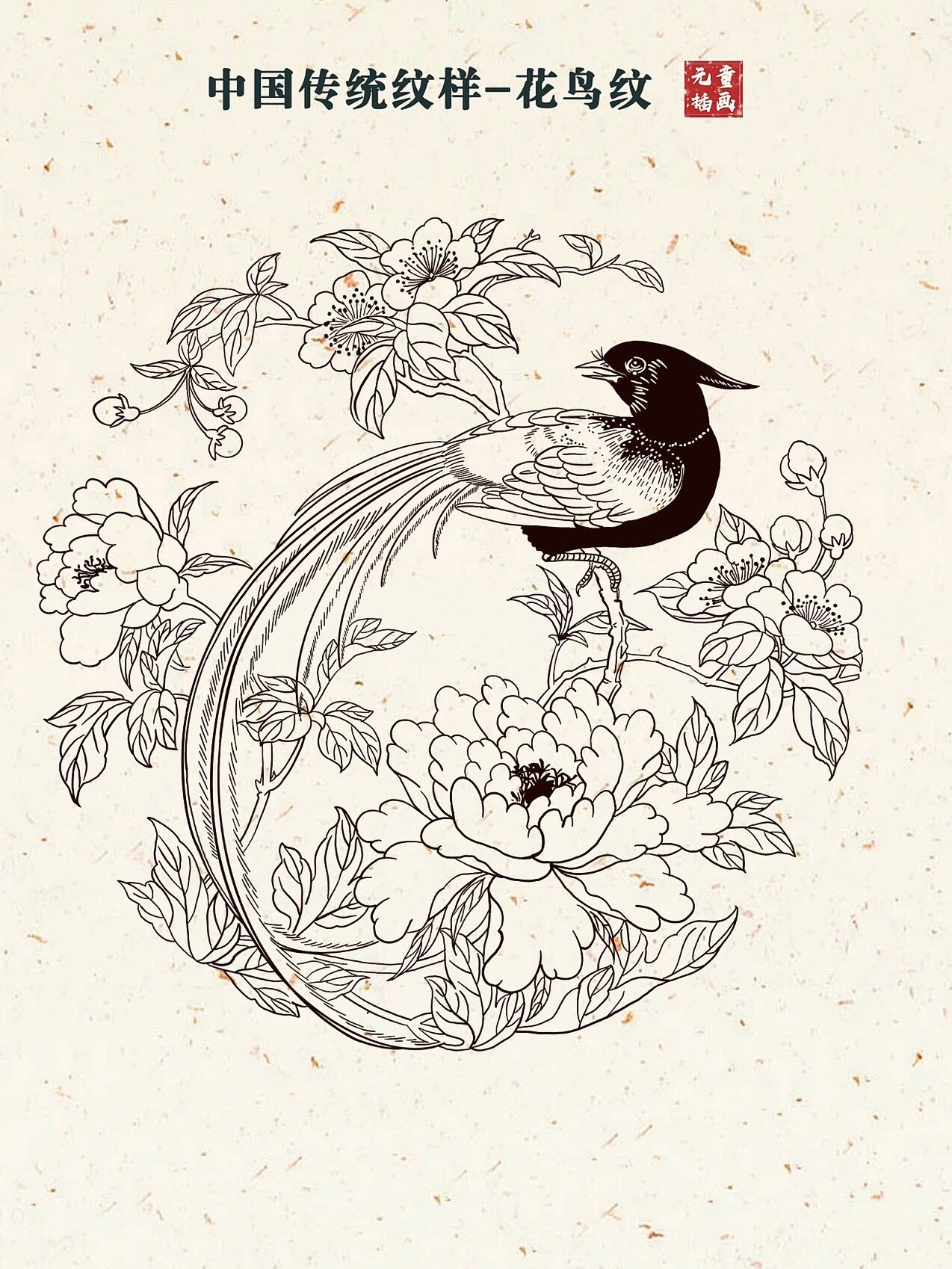 day26 | 中国传统纹样练习-花鸟纹 #线稿# #小红书成长助手# #纹样