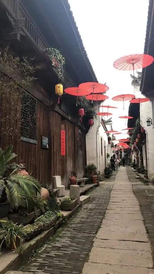 每到时节佳,或对饮美食