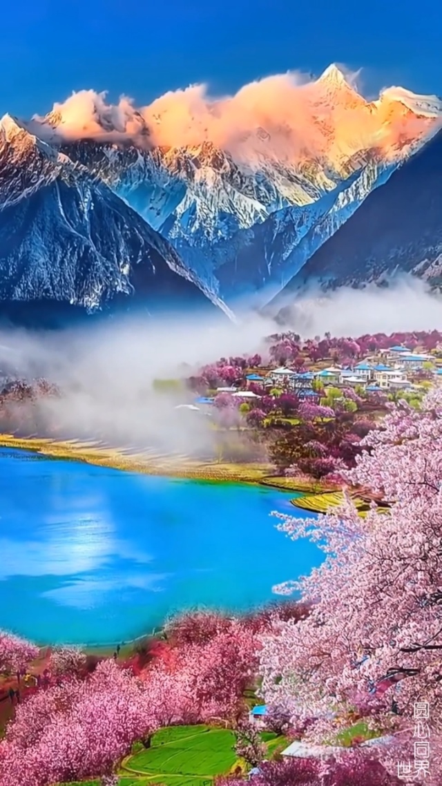 最美的风景 #唯美 #治愈系