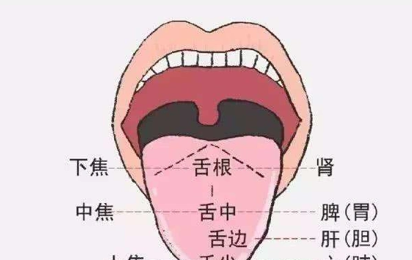 舌炎的中医调理方法的症候