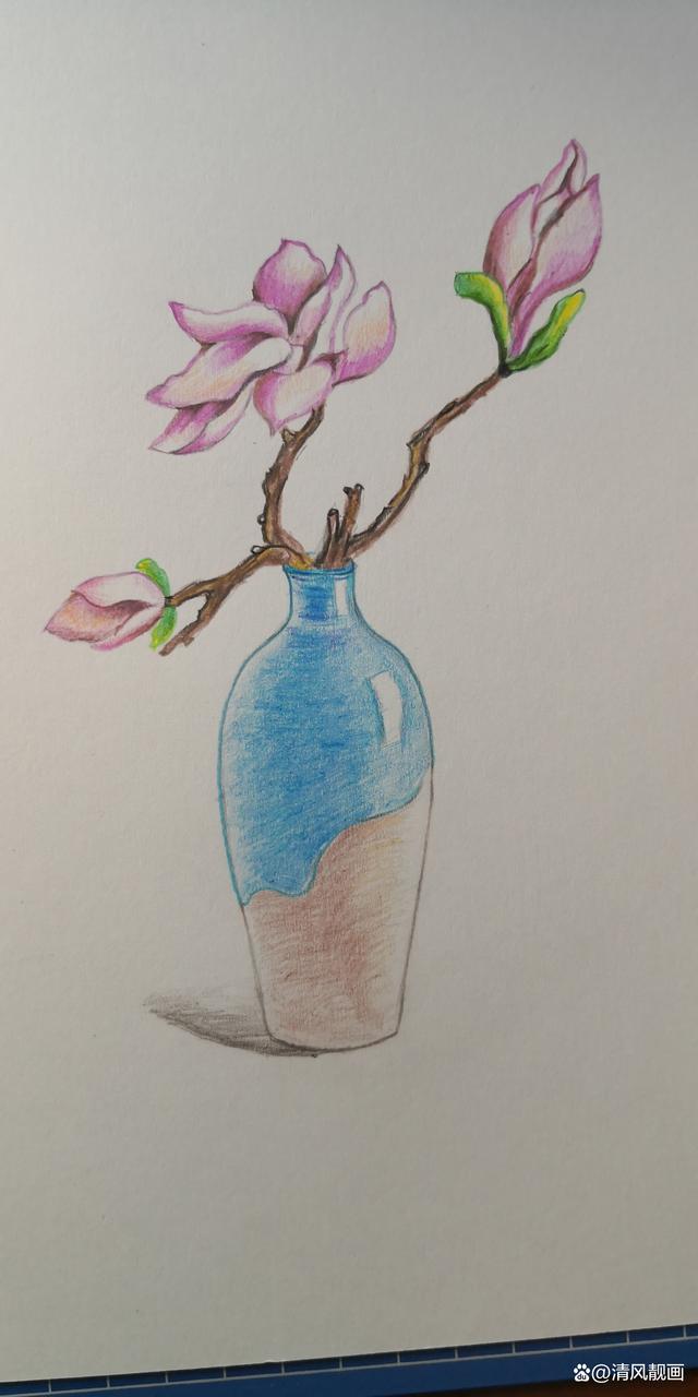 彩铅画:画花瓶的详细线稿步