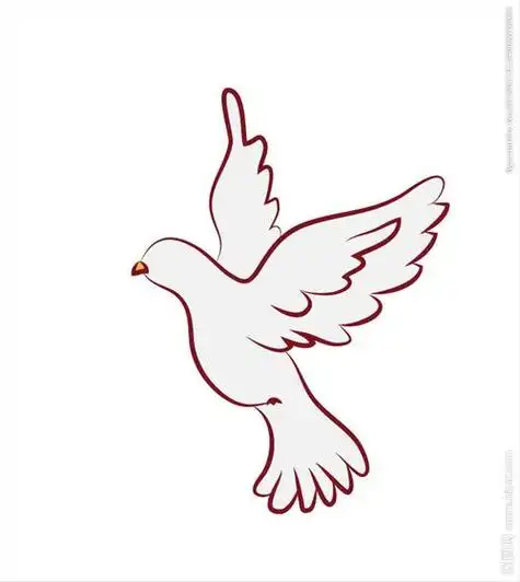 鸽子简笔画彩色飞翔的鸽子简笔画彩色