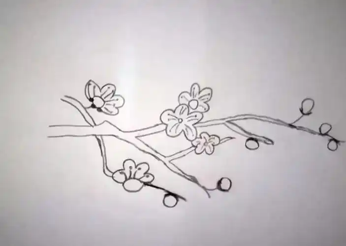一枝梅花简笔画一枝梅花简笔画儿童画