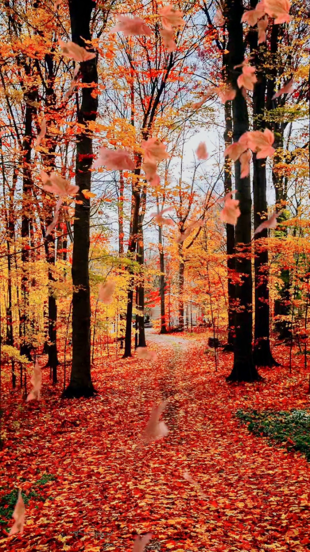 看着漂亮的风景心情都舒服很多