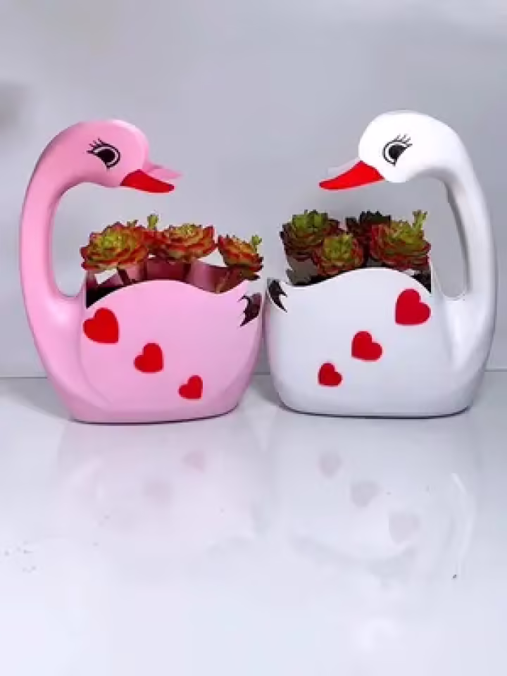 变废为宝 #自制花盆 #手工 #手工diy #洗衣液瓶子改造