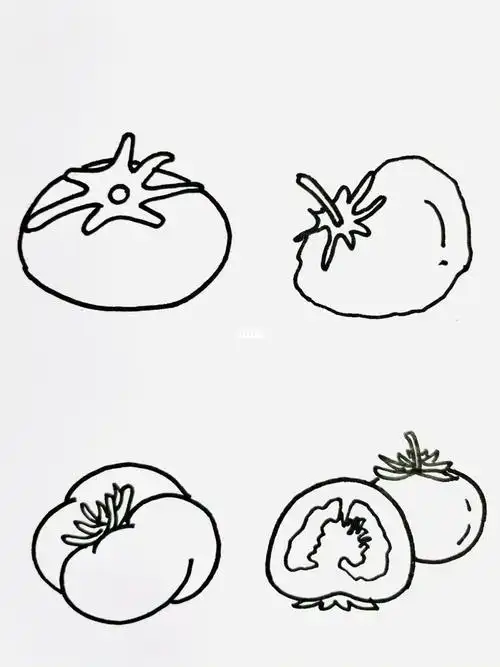 番茄简笔画 番茄简笔画图片