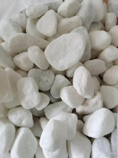 白鹅卵石白色石头白玉石aa发货海之舟2